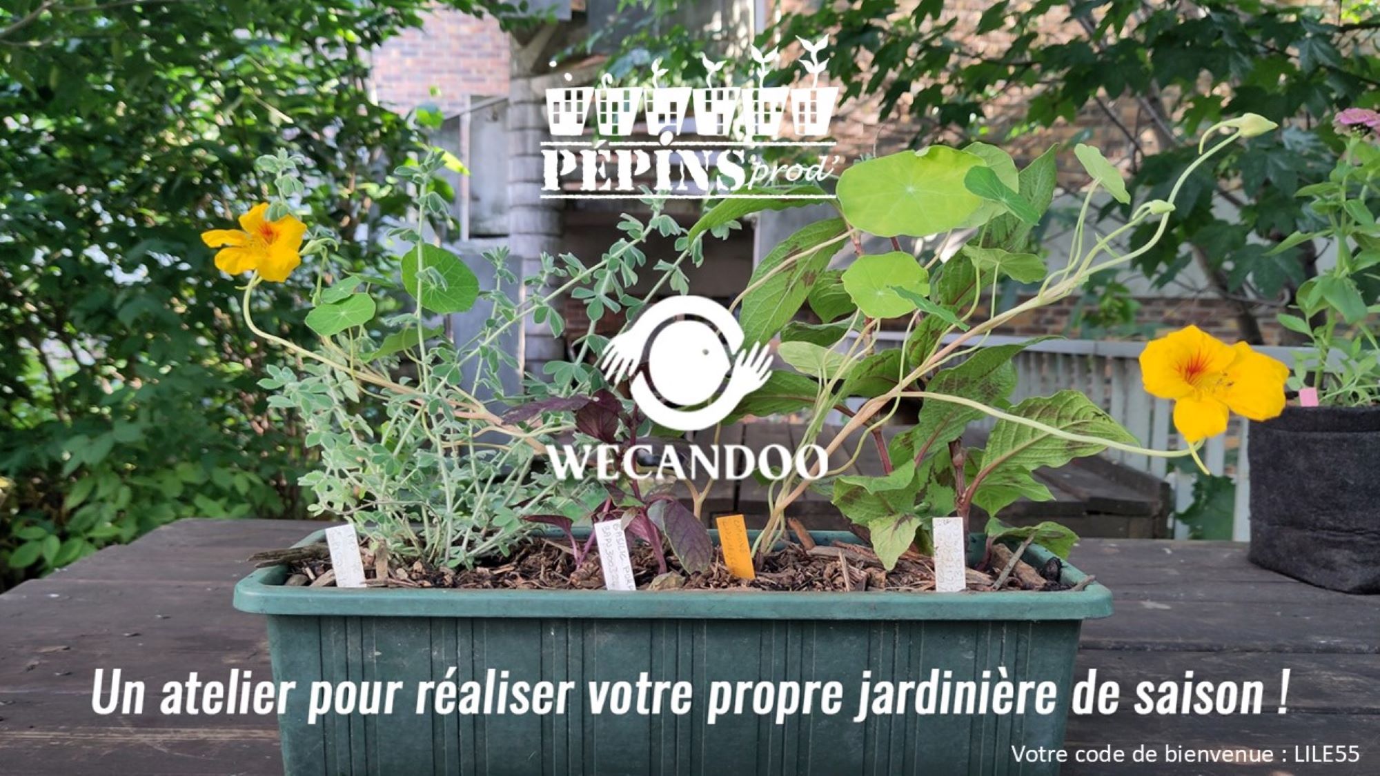 avec wecandoo , pepins production propose un atelier pour réaliser votre propre jardinière de saison, entrez le code promo LILE55 pour avoir 10% de reduction en bienvenue